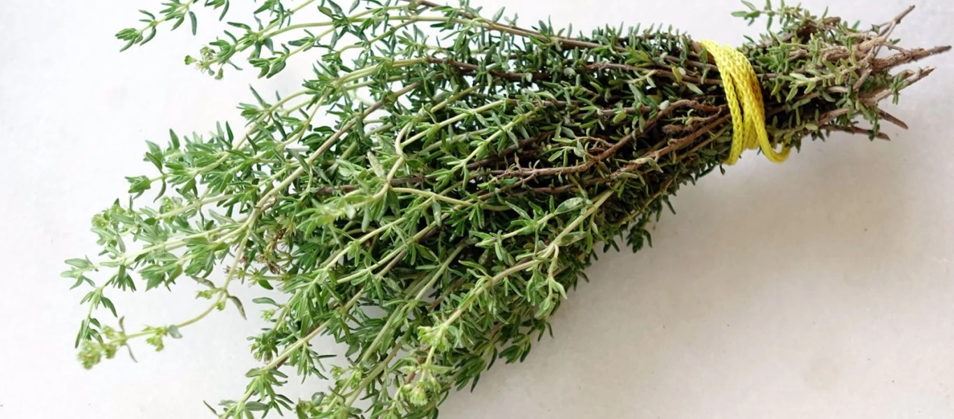 Όλα όσα πρέπει να γνωρίζετε για το θυμάρι - Τα οφέλη και οι θεραπευτικές του ιδιότητες